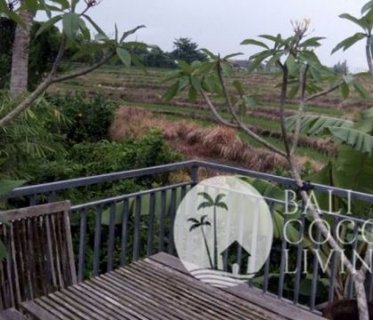 Villa Nayaka