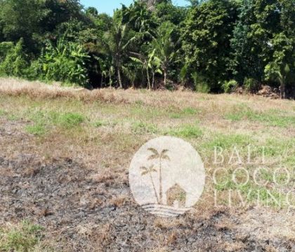 Land for rent 5 are