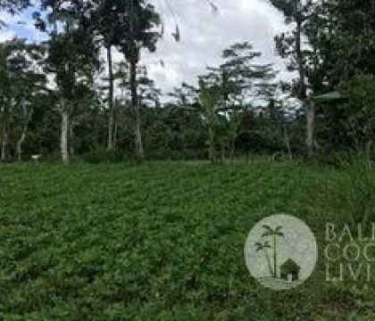 835 Sqm Land for sale