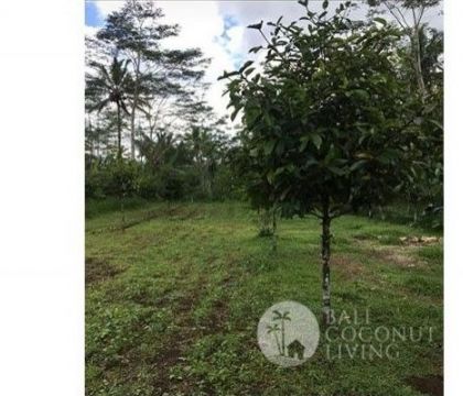 835 Sqm Land for sale