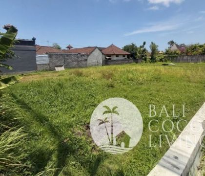 Land For Rent 11 are