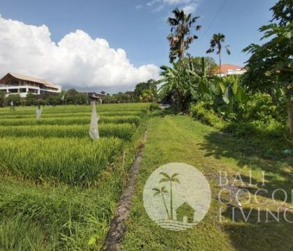 Land For Sale 400 Sqm