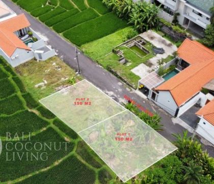 150 Sqm Land For Sale &ndash; Canggu 