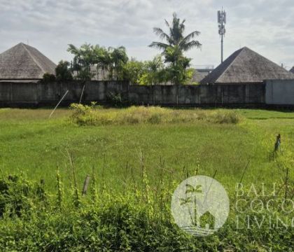 5 Are Land For Sale - Umalas