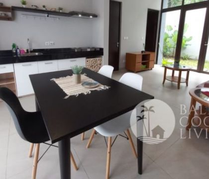 Sonia Loft Apartment