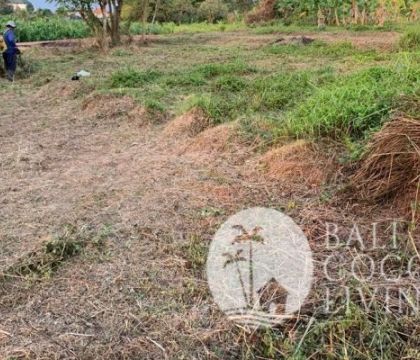 Land for rent 30 are