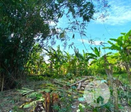 For rent, Land 500 sqm