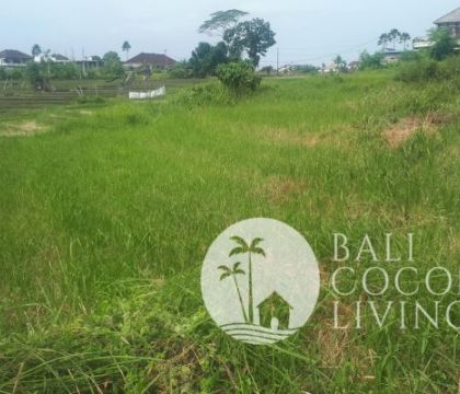 Land for sale 5 are