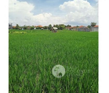 31 Are, Land for lease