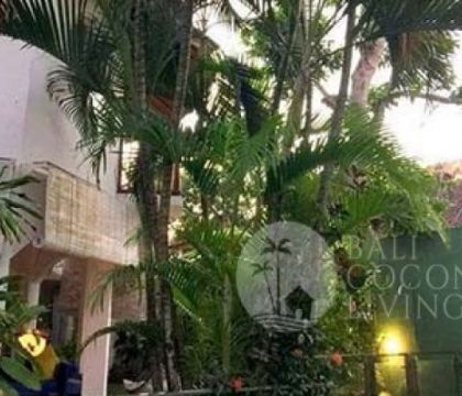 Villa Maliana