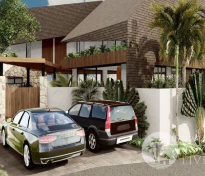 Palm Spring Villa 