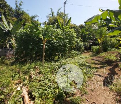 For rent, Land 5 are