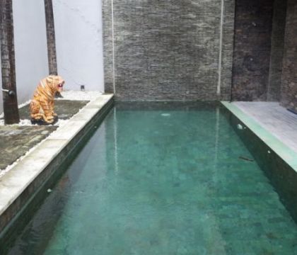 Villa Asri C 