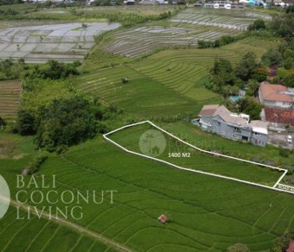 1400 Sqm, For rent Land