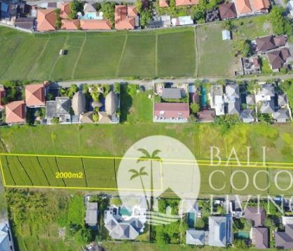 Land 20 are for lease