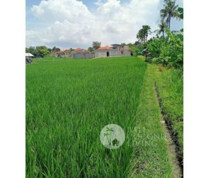 31 Are, Land for lease