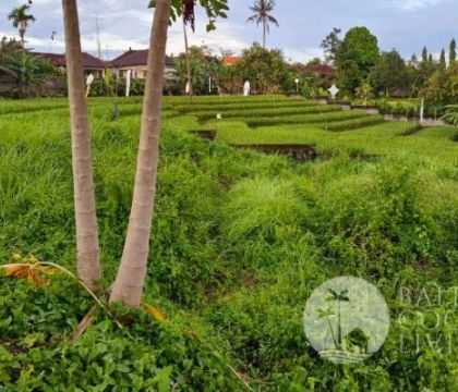 685 Sqm, Land for lease