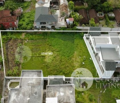 1540 Sqm, For rent land