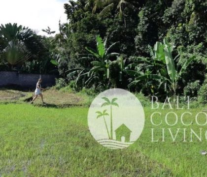 Land for lease 8 are