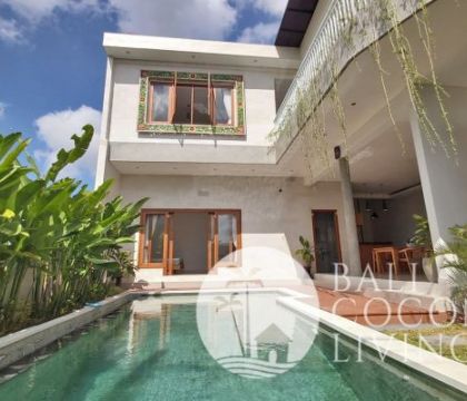 Villa Pineapple 2
