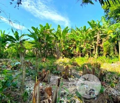 For rent, Land 500 sqm