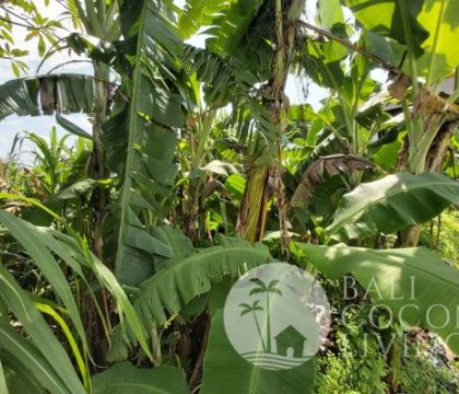 Land For Sale 400 Sqm