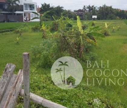 1000 Sqm, Land for rent