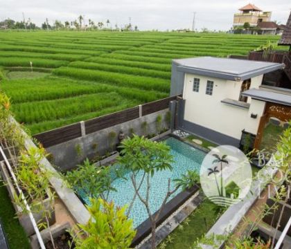 Villa Disawah