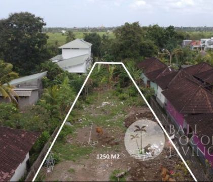 1250 Sqm, Land for sale