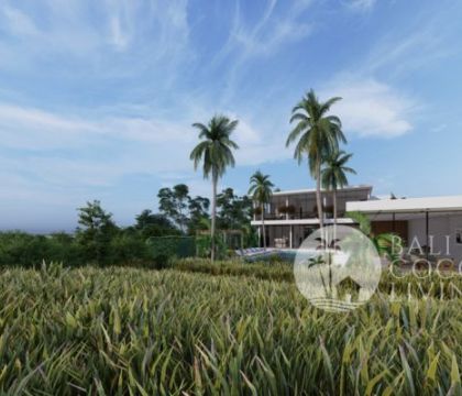 The Millennial Villa 3
