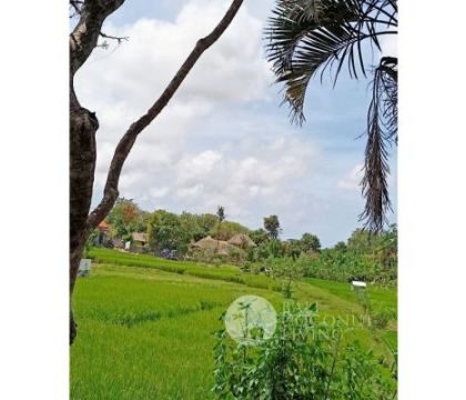 4,95 Are, land for rent
