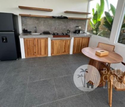 Villa Lonaris Seseh A