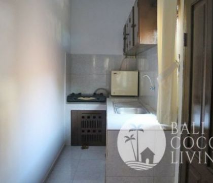 Rumah Shana