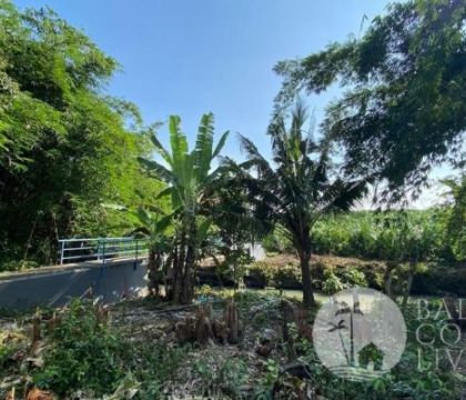 For rent, Land 500 sqm