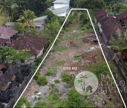 1250 Sqm, Land for sale