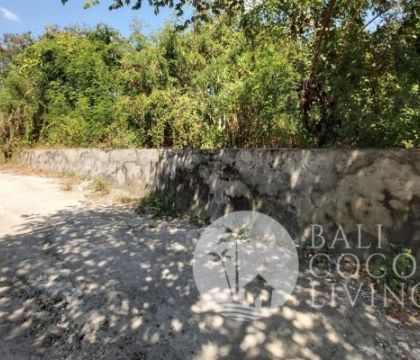1430 Sqm, Land for rent