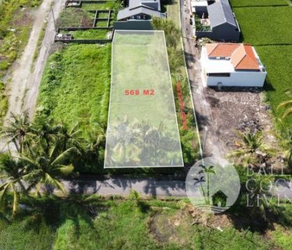 Land For Sale 568 Sqm 