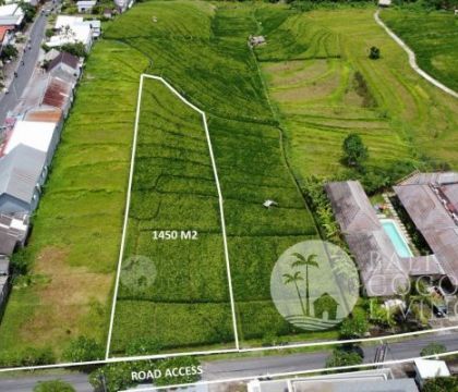 14,50 Are land, For lease