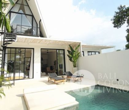Villa Jungle 4