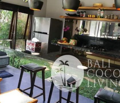 Denver Villa