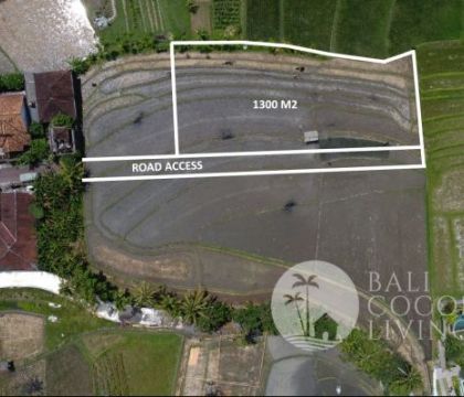 1300 Sqm for rent, Land