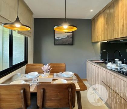Plagoo Apartment 1