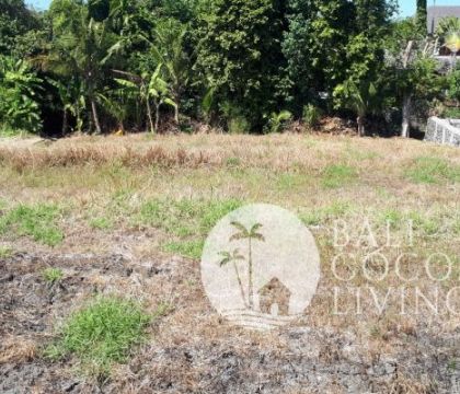 Land for rent 5 are