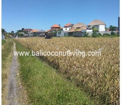 Land For Lease Berawa 2500 sqm