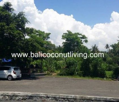 Land for sale 40 are-Candi Dasa