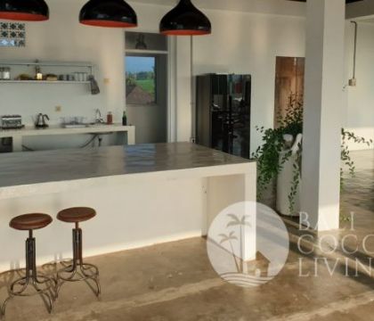 The Balawan Apartment Pererenan