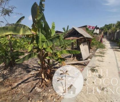 Land for sale 4 are