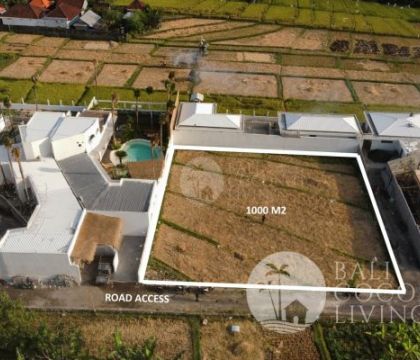 For rent, 1000 sqm Land