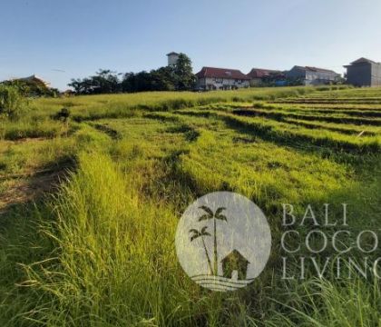 Land for sale, 6 are