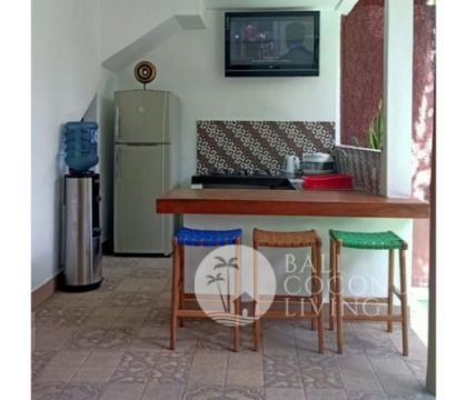 Villa Burton 2